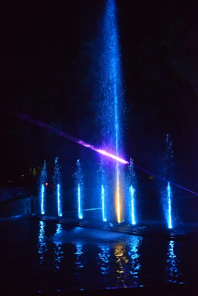 DSC_7057 (Large).JPG